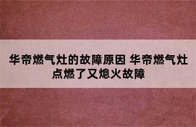 华帝燃气灶的故障原因 华帝燃气灶点燃了又熄火故障